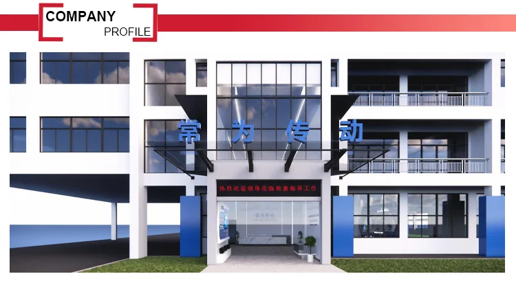 Factory customized BWD1 BLD1 Cast Iron Gear Speed Cyclo Drive Reducer Cycloid Gearboxes  Cycloidal pin wheel reducer factory