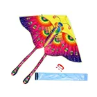 Kite Promotional Kids Flying Nylon Butterfly Kite