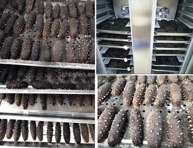 Blast Freezer, -45℃, R-404A - detail 30