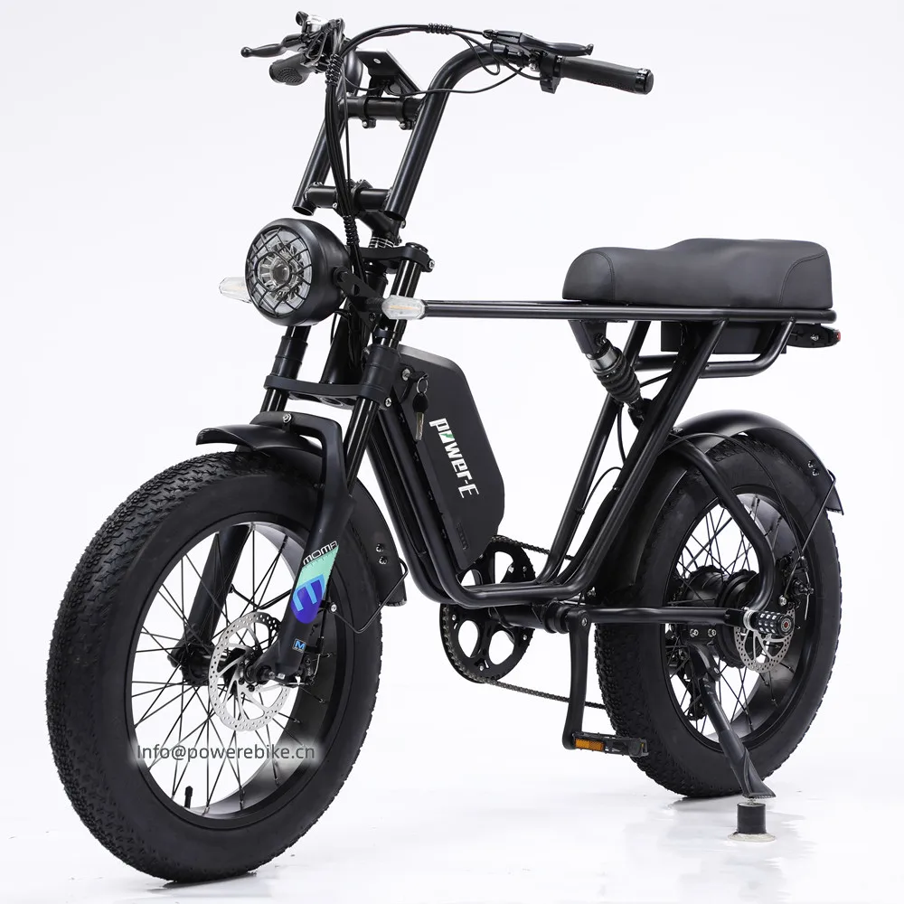 Electric Bike Fat Tire 