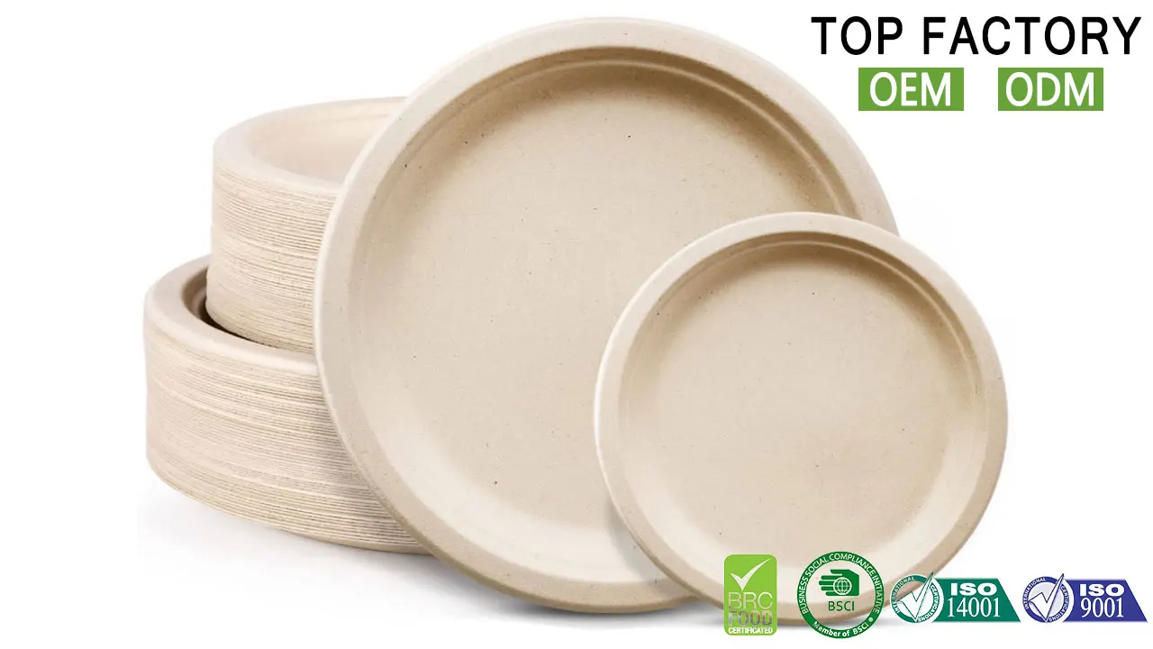 Biodegradable Sugar Cane Bagasse Compostable Eco Friendly Disposable