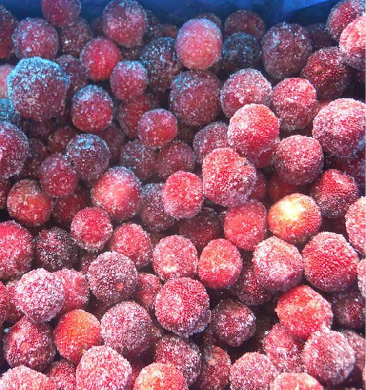 China Supplier IQF Frozen Fruits Healthy Natural Frozen Bayberry manufacture