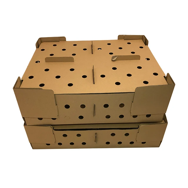 Eco-friendly Recycle Double Wall Corrugated Cardboard Live Baby Day Old Chicken Transport Cartoons Boxes For Chicks