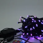 Rgb Smart Holiday Light Decoration Remote Controller Twinkly Rgb Light For Outdoor Use