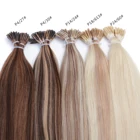 Extensions Neitsi 100%Human Hair Double Drawn Wholesale Italian Keratin U Tip/Flat Tip/I Tip Hair Extensions