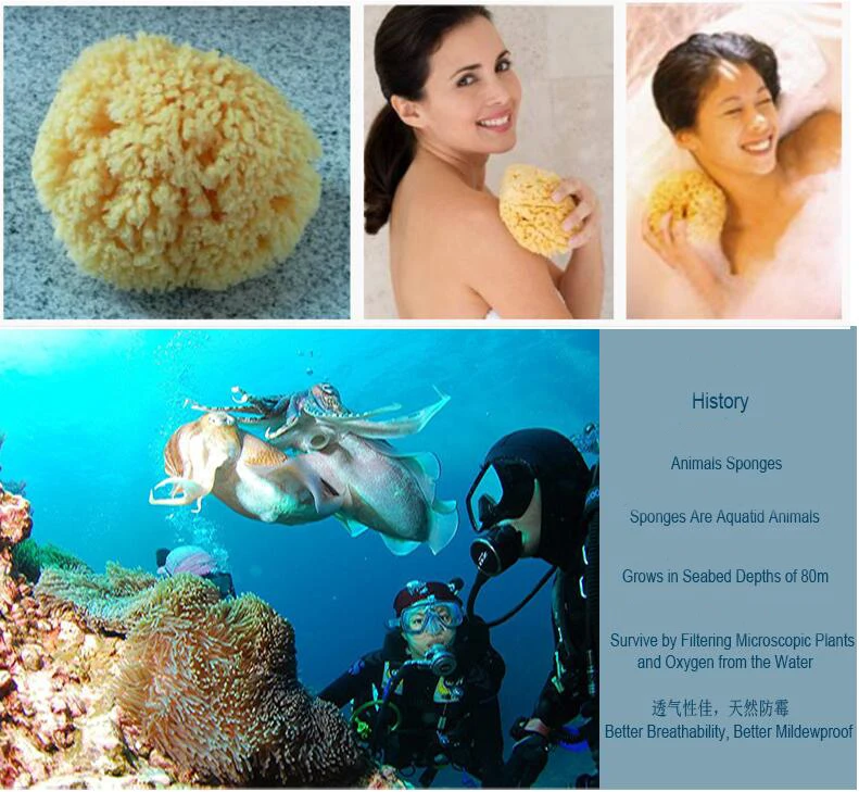 Ready To Ship American  Hot Sale Sea Sponge Low MOQ Bath Brushes Sponge Scrubbers Makeup Remover Bath Cleaning Sponge