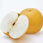 Pears Pear 2020 New China Fresh Pears Fruit