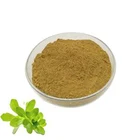 Wholesales Natural Extract Bacopaside 50% Bacopa P.E. Powder Bacopa Monnieri P.E.