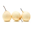 Pear Fresh Pear Fruit Cheap Wholesale Price Pear