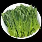 Green Tea Green High Quality New Spring Chinese Green Tea Hot Product