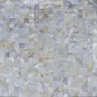Shell Sea Wholesale Shell Mosaic Seamless Sea Freshwater Shell Mother Of Pearl Mosaic Tile