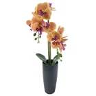 Wedding Wholesale Real Touch Orchid Plastic Pot Simulation Wedding Decor Butterfly Flower Party Orchid