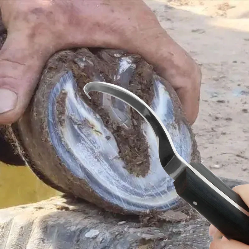 Durable stainless hoof knife