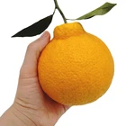 Orange Hot Selling Ugly Orange Dekopon Extremely Juicy Fresh Orange Fruit Without Being Messy