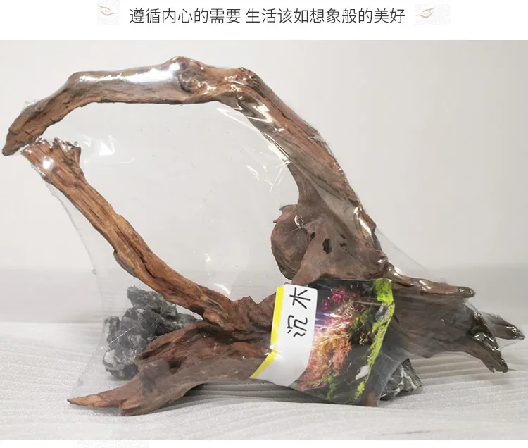 Wholesale Aquatic Plants Landscaping Packaging Export Modeling Fish