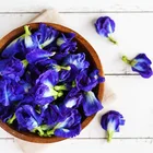 Organic Herbal Tea Butterfly Pea Flower Tea In Slimming Tea