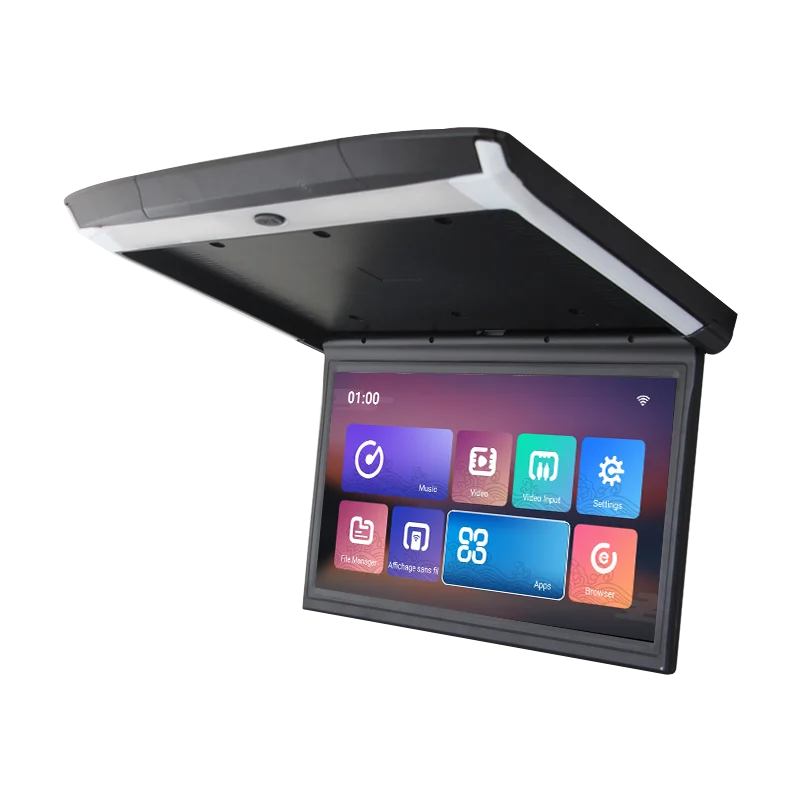 car roof monitor (2).png