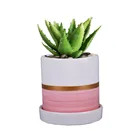 Decoration Pot Ceramic Plant Pot Garden Office Decoration Nordic Style Planter Pot Ceramics Flower Pot For Succulent Plant