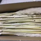 Wedding Wedding Flowers Large Size Preserved Flower Dried Pampas Grass For Wedding Decor