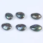 Abalone Shell 30*50mm Abalone Paua Shell Nail Art Shell Paper Nature Shell Paper