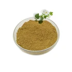 Natural Wholesales Natural Extract Bacopaside 50% Bacopa P.E. Powder Bacopa Monnieri P.E.