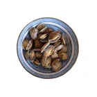MSC Certified Fresh Healthy Cooked Delicious Frozen Variegated Clams