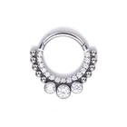 Bezel Jewelry Hinged Segment Ring ASTM F136 Titanium Bezel Set CZ Hinged Segment Ring Body Jewelry