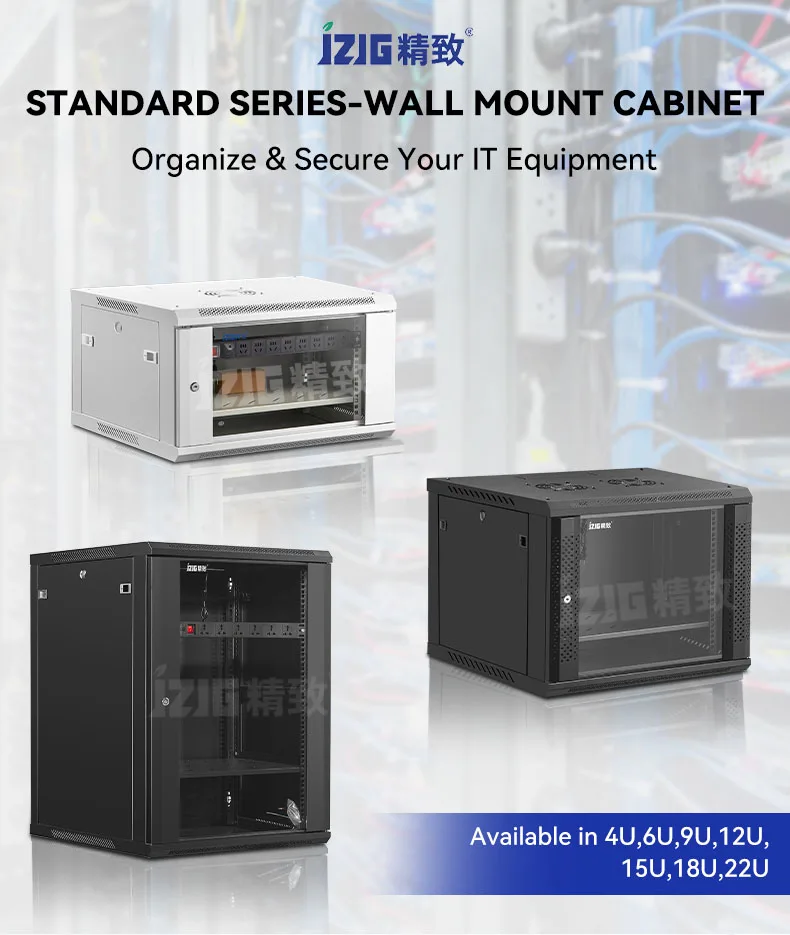 Cabinet with Cooling Fan, Wall, 9U-18U - detail 2