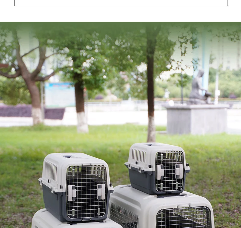 Wholesale Hot Sale Large Size Pet Airline Carrier with Wheels Suitable for Small and Medium Dogs Pet Supplies details