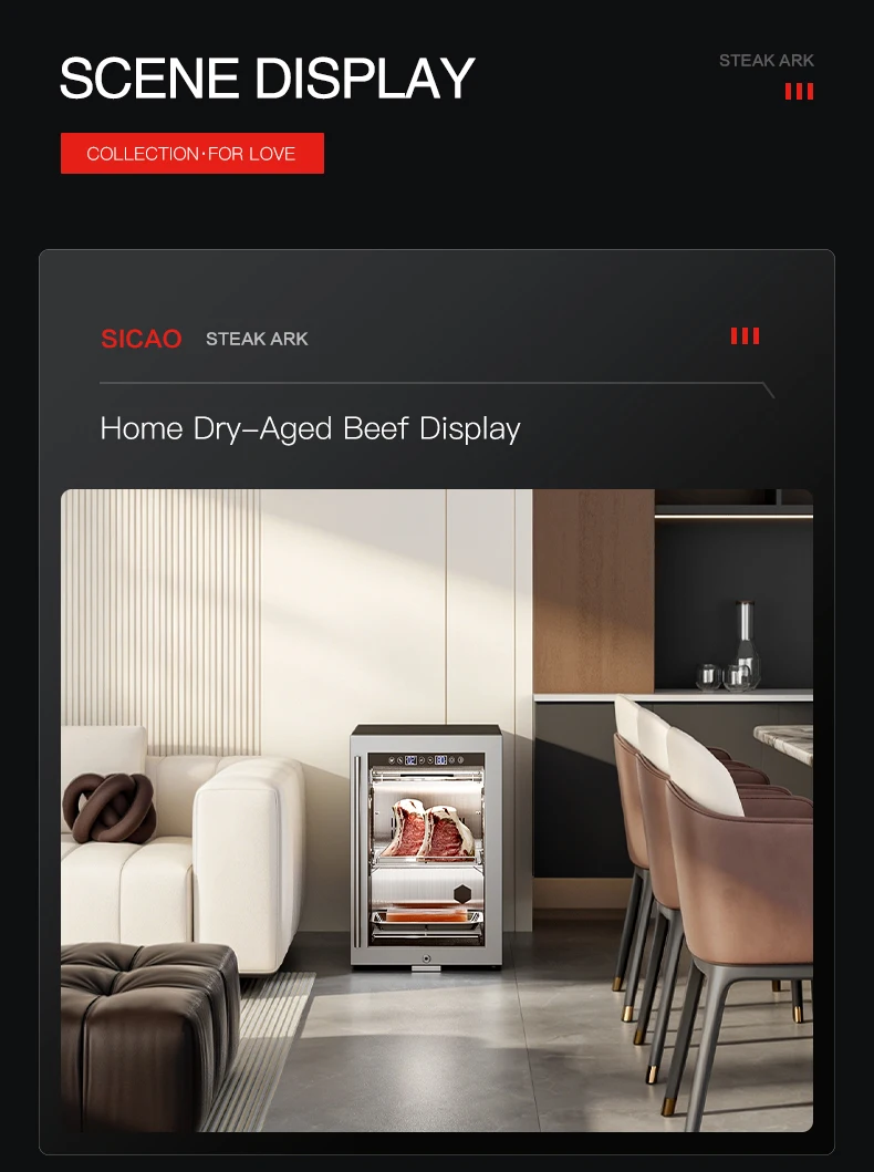 Dri Ageing Fridge Cooler, SICAO - detail 14