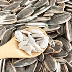 Halal Certified Factory Wholesale Bulk Raw Top Quality Cheap Price Oil Sunflower Seeds