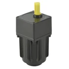 Motor 40w Speed Adjustable AC Gear Motor