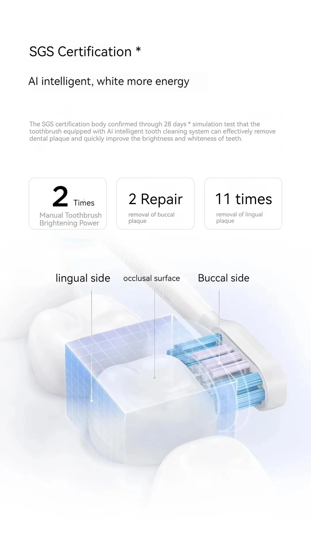 xiaomi mijia t501 sonic electric toothbrush -5