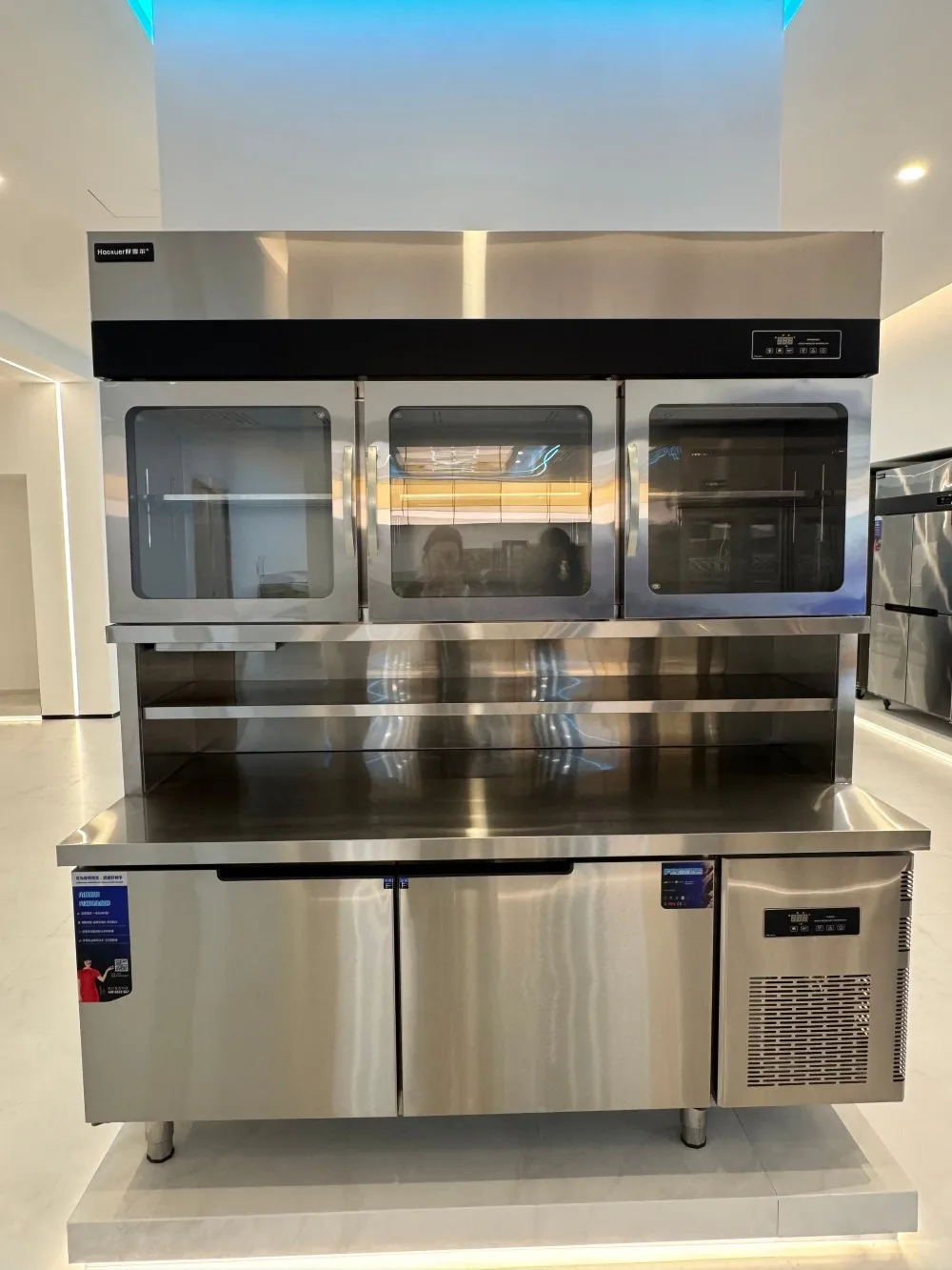 Saving Stainless Steel Freezer, 220 V - detail 48