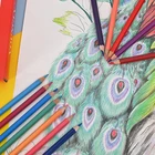 Artist Hot Selling Rich Layers Artist Colored Pencils Professional For Birthday Gift