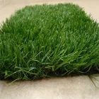 Grass Garden Artificial Grass Landscaping Grass Natural Grass Roll