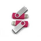 Usb 2GB/4GB/8GB/16GB Cute Usb Flash Drive Usb Stick Usb Flash Drive Custom
