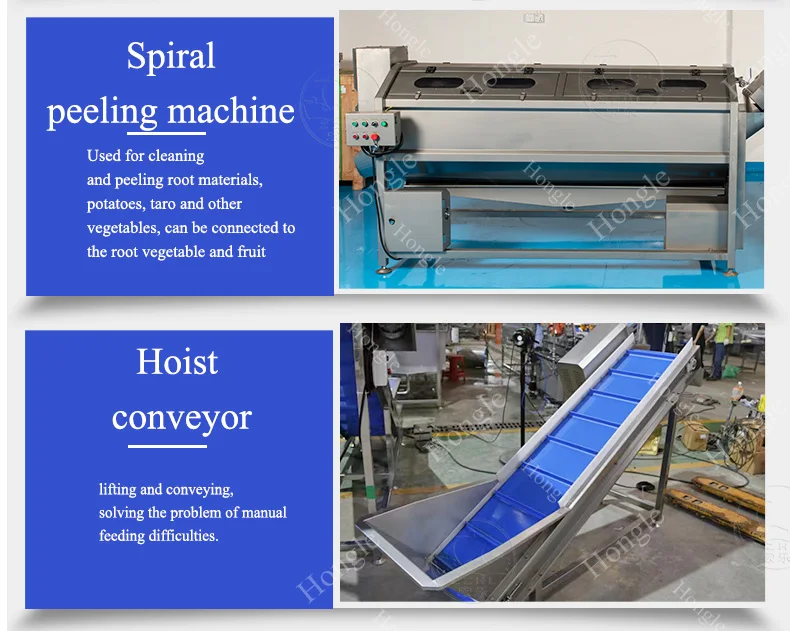 Fruits and Veggies Packing Machine Full Multi-Function Brush Organe Carrot Orange Sorting Washing Waxing Green Onion Cutter Line supplier