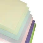 A4 Paper A4 Pearlescent Paper Custom Fancy A4 SIZE 120g 250g Art Pink Pearlescent Pearl Paper Shimmer Cardstock