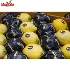 Fruit Montale Sichuan Competitive Price Of Fruit Import Lemon