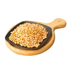 Corn Yellow Yellowcorn Maize Non-GMO Dry Maize Air Dried Corn Yellow Corn Dehydrated Vegetables