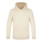 Plain Hoodies Custom Logo Plain Oversize Custom Branding 100% Cotton Pullover Designer Logo Sweatshirts Men's Hoodies