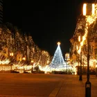 Electric Outdoor LED Lights String Lighting For Party Function Decoration