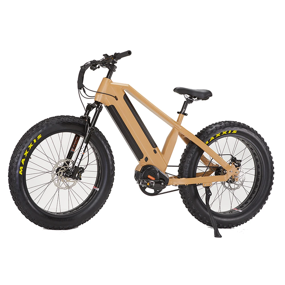 warthog electric bike