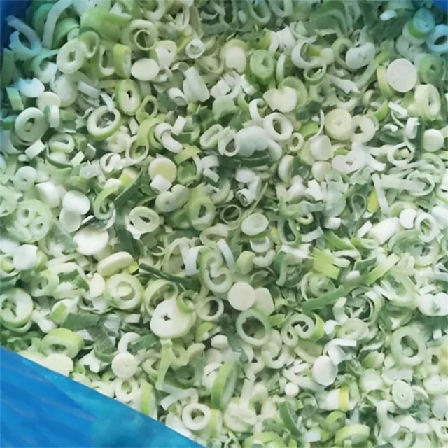 Certified Quality Professional Manufacture Spring Green Onion