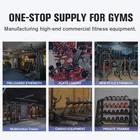 Machines Hot Sale Factory Outlet Gym Machines Pec Fly Pearl Delt