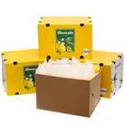 Global ODM OEM Global Supply Fresh Common Lemon Best Quality Factory Directly Providing