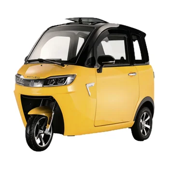 3 Wheel Electric Motorcycle Adults Tricycle Closed Electric Passenger