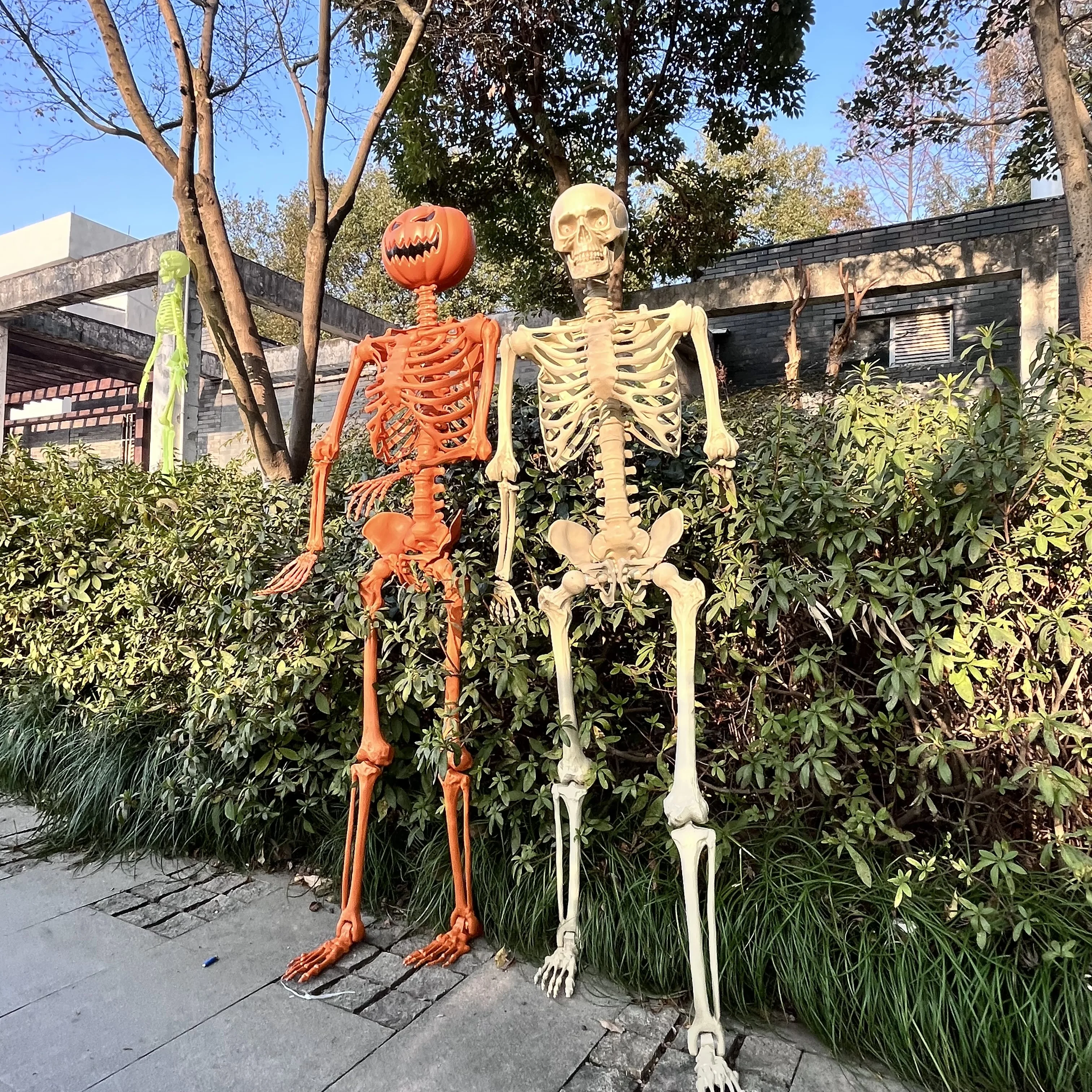 Halloween Supplier Movable 60Inch Realistic Indoor&Outdoor Human Halloween Skeletons For Holidays Decoration