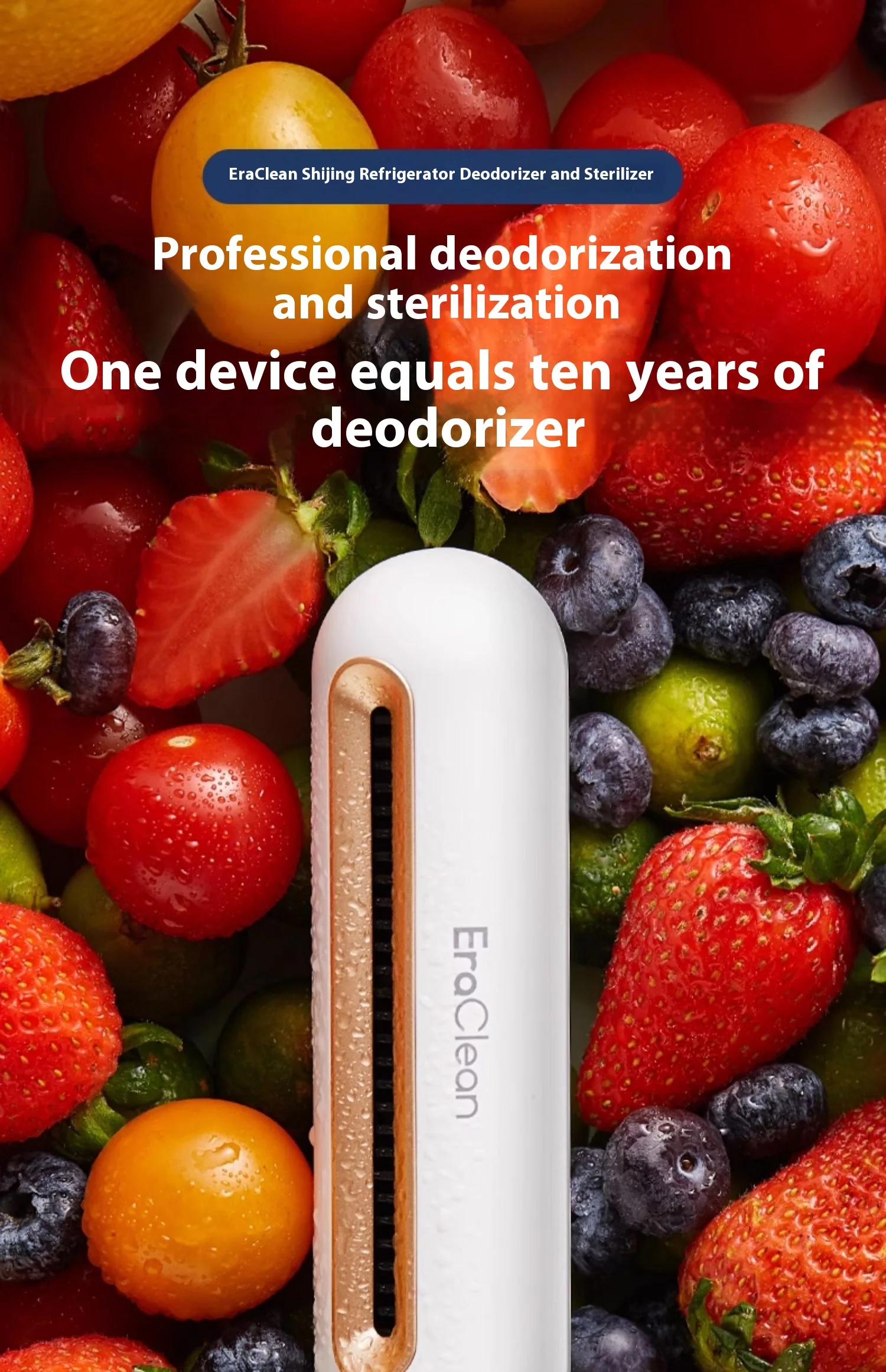 Wholesale EraClean Fridge Deodorizer: Unleash the Potential of Freshness and Profit